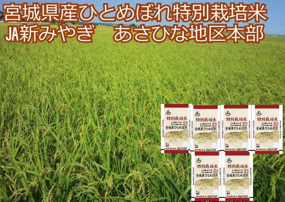 宮城県産ひとめぼれ特別栽培米 Ja新みやぎ あさひな地区本部 5kg Reachstock