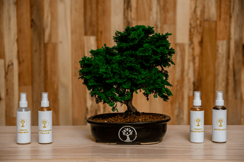 antiplagas para bonsai