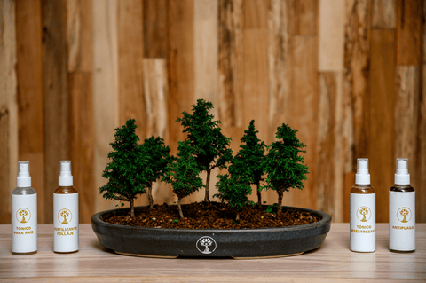antiplagas para bonsai