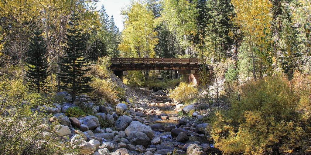 Cold Springs Campground