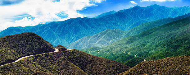 Los Padres National Forest