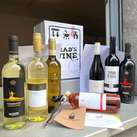 March Subscription Box - Best UK Europe Free Delivery Monthly Wine Case