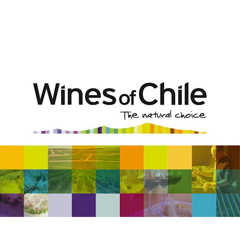 Chile Carmenere Red Wine - EU UK Best Wine Subscription Box Service Free Delivery