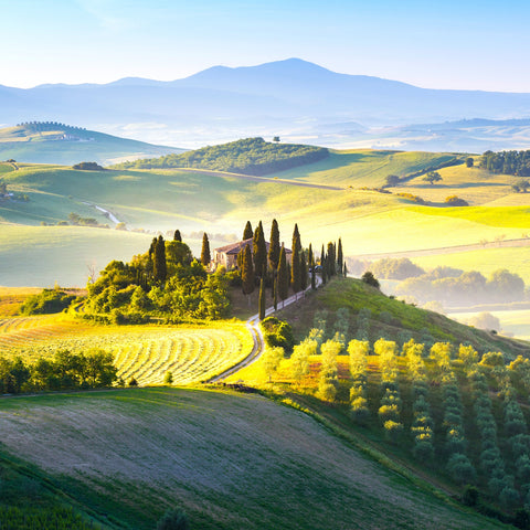 Wine Tuscany Italy - Best EU UK Monthly Wine Subscription Service Free Delivery