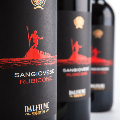 Dalfiume Rubicon Sangiovese - Best EU UK Monthly Wine Subscription Service Free Delivery