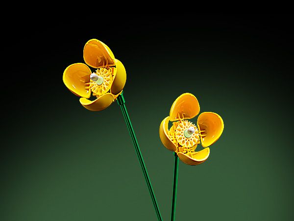 LEGO® ICONS™ Buket divljeg cveća (10313)