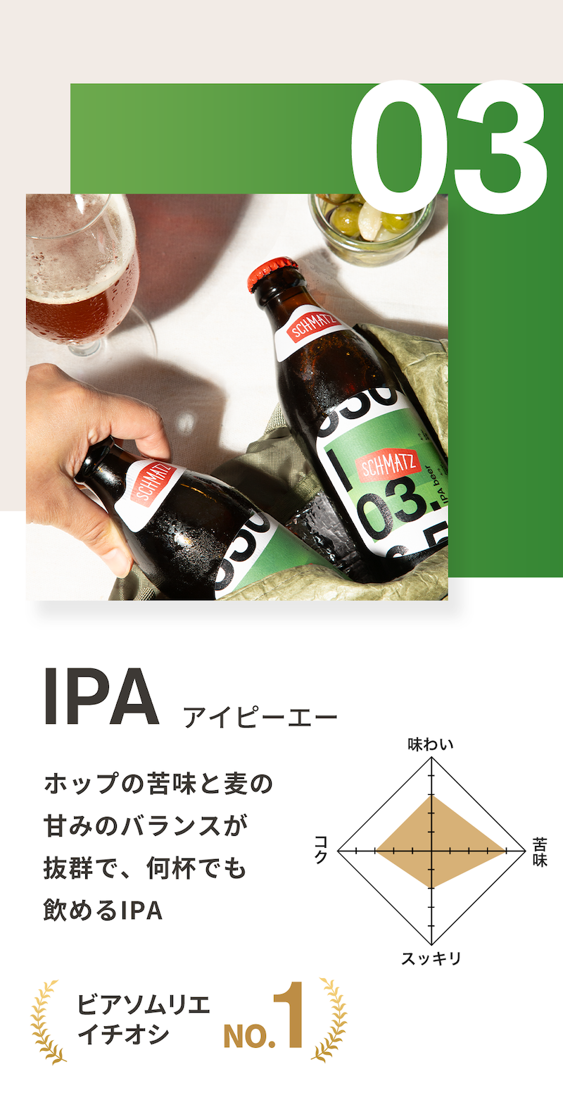 シュマッツビール IPA アイピーエー 定番3種 飲み比べセット