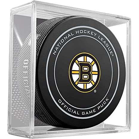 Inglasco NHL Team Official Game Puck