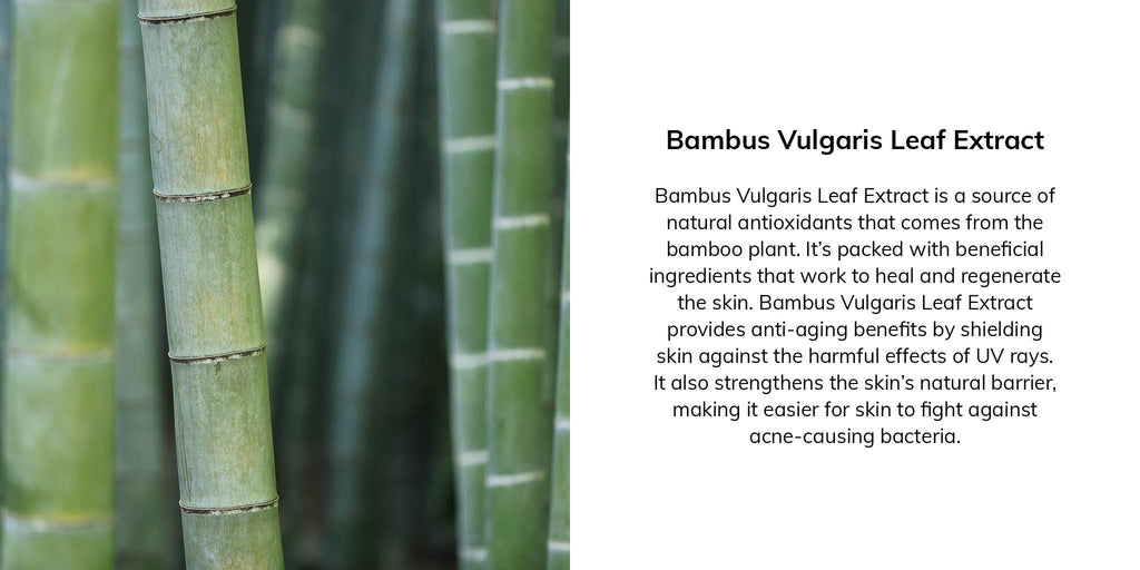 Bambus Vulgaris Leaf Extract is a source of natural antioxidants that comes from the bamboo plant. It's packed with beneficial ingredients that work to heal and regenerate the skin. Bambus Vulgaris Leaf Extract provides anti-aging benefits by shielding skin against the harmful effects of UV rays. It also strengthens the skin's natural barrier, making it easier for skin to fight against acne-causing bacteria.