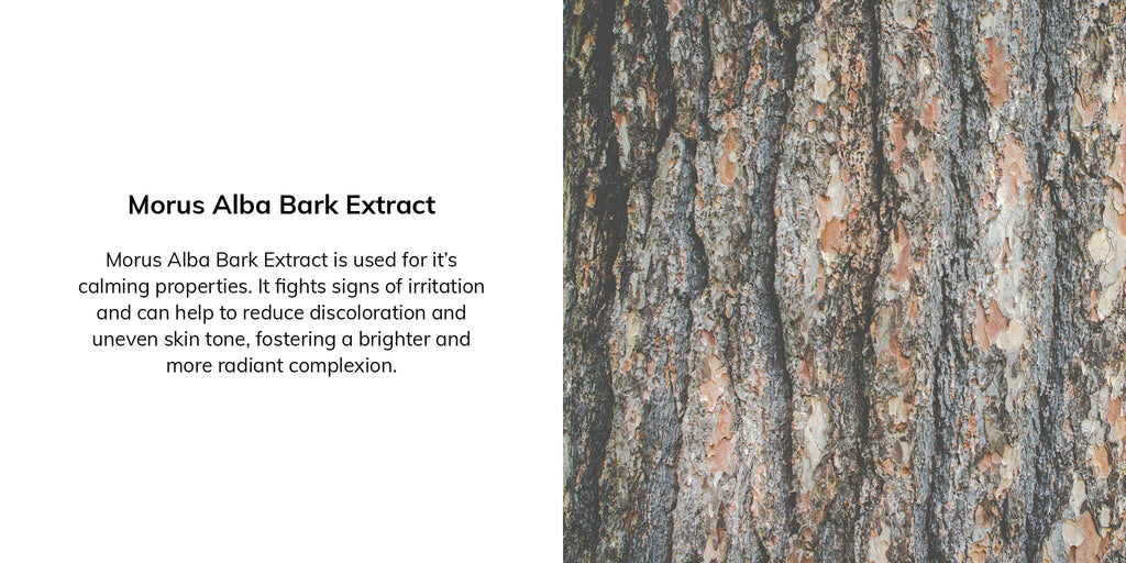 Morus Alba Bark Extract is used for it's calming properties. It fights signs of irritation and can help to reduce discoloration and uneven skin tone, fostering a brighter and more radiant complexion. 