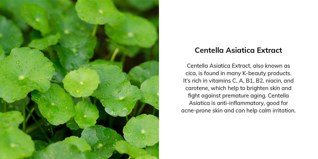 Centella Asiatica Extract, also known as cica, is found in many K-beauty products. It's rich in vitamins C, A, B1, B2, niacin, and carotene, which help to brighten skin and fight against premature aging. Centella Asiatica is anti-inflammatory, good for acne-prone skin and can help calm irritation.