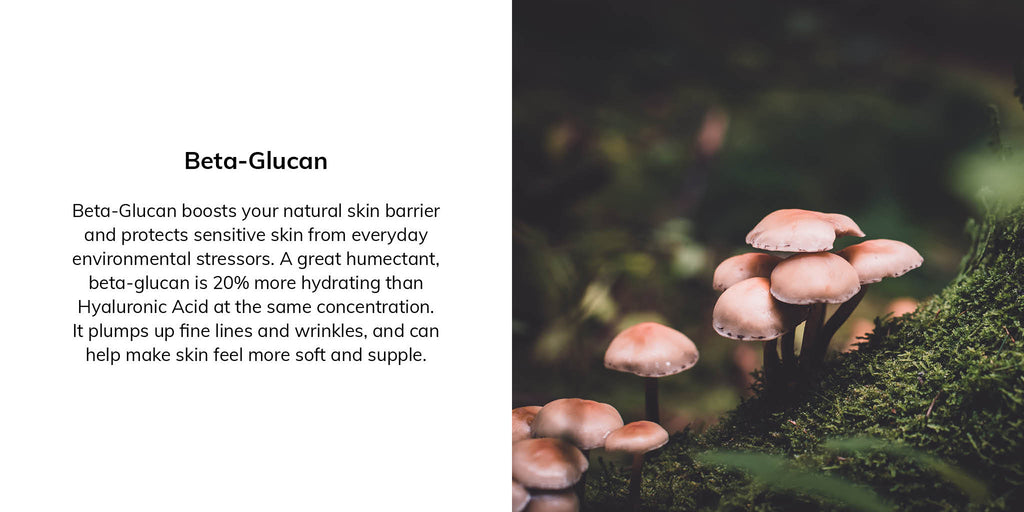Beta-Glucan boosts your natural skin barrier and protects sensitive skin from everyday environmental stressors. A great humectant, beta-glucan is 20% more hydrating than Hyaluronic Acid at the same concentration. It plumps up fine lines and wrinkles, and can help make skin feel more soft and supple. 
