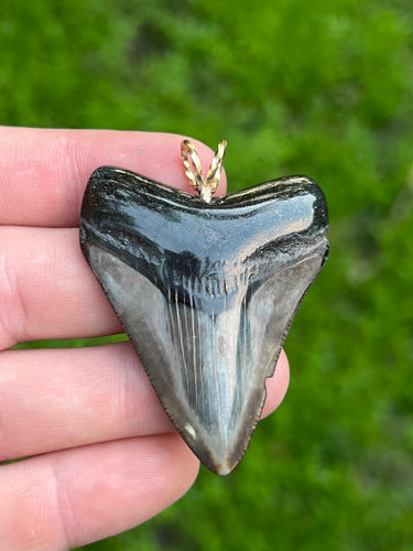 megalodon shark tooth necklace