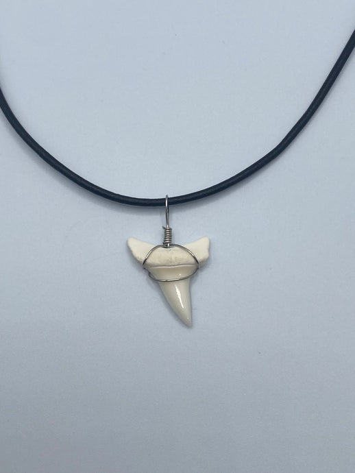 great white shark teeth necklaces