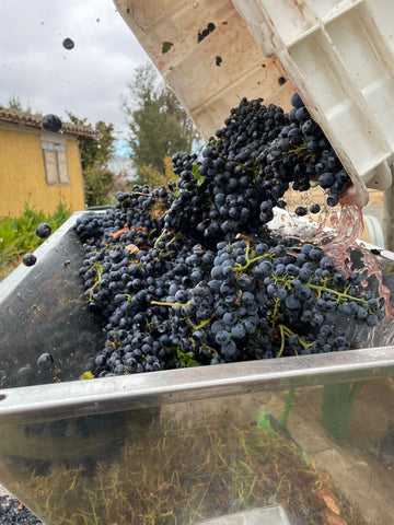 Ponemos las uvas en esta maquinaria, llamada estrujadora o molino