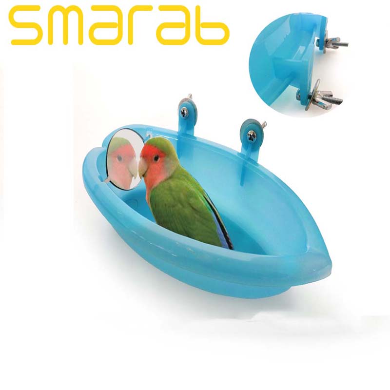 small parrot toys