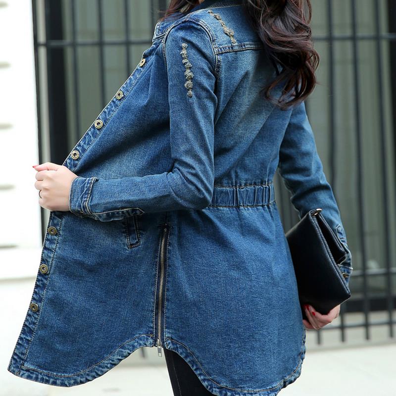 faballey denim dress