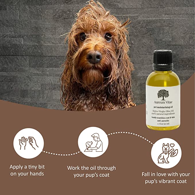 will olive oil help my dogs dry skin