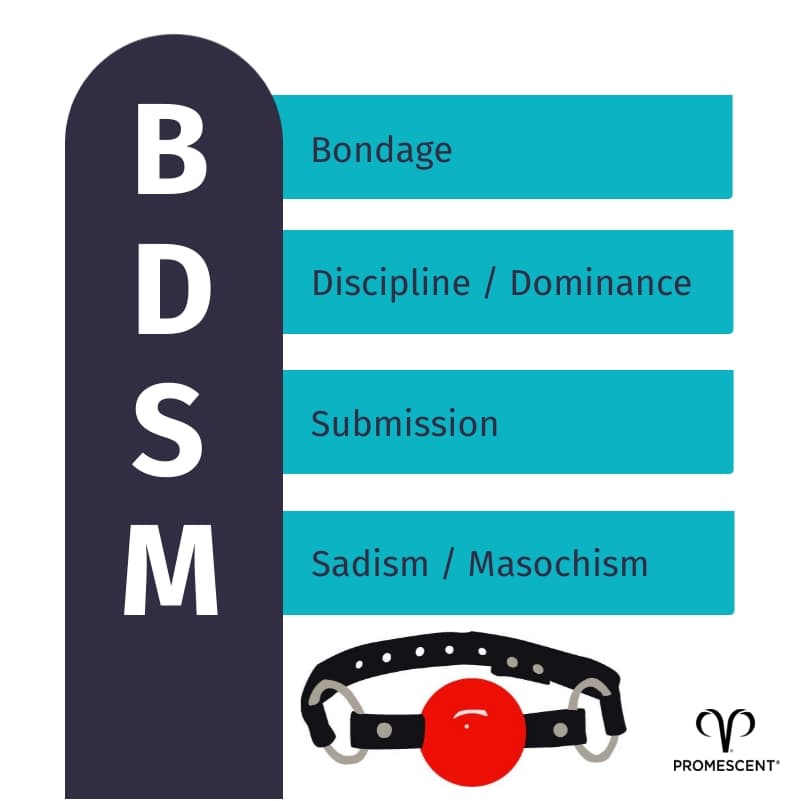 BDSM: Bondage, Discipline, Submission, Sadism / Masochism, or Sadomachism