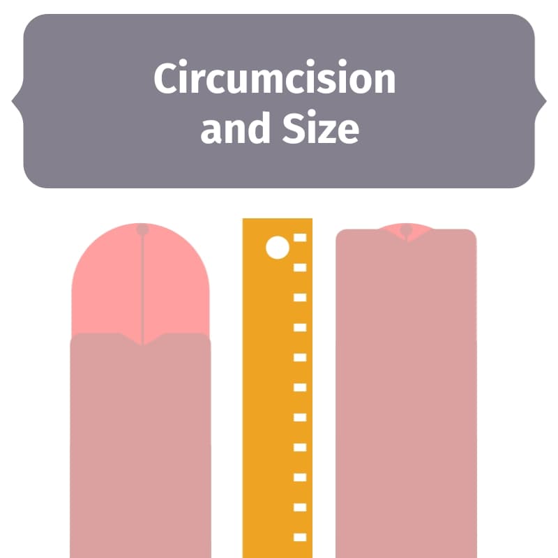 Circumcision and the effect on penis size