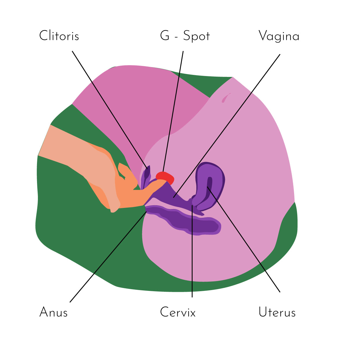 tricks to make your girlfriend orgasm