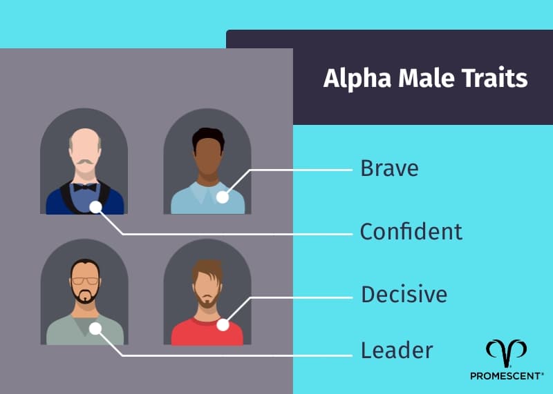 What does being or becoming an Alpha Warrior mean to you?