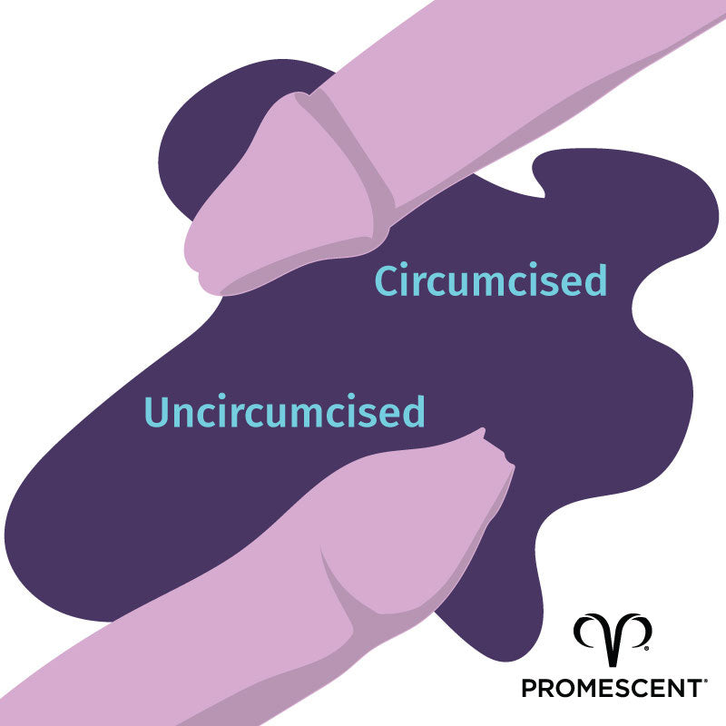 Circumcised penis versus uncircumcised penis