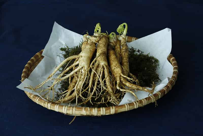 Ginseng to increase libido