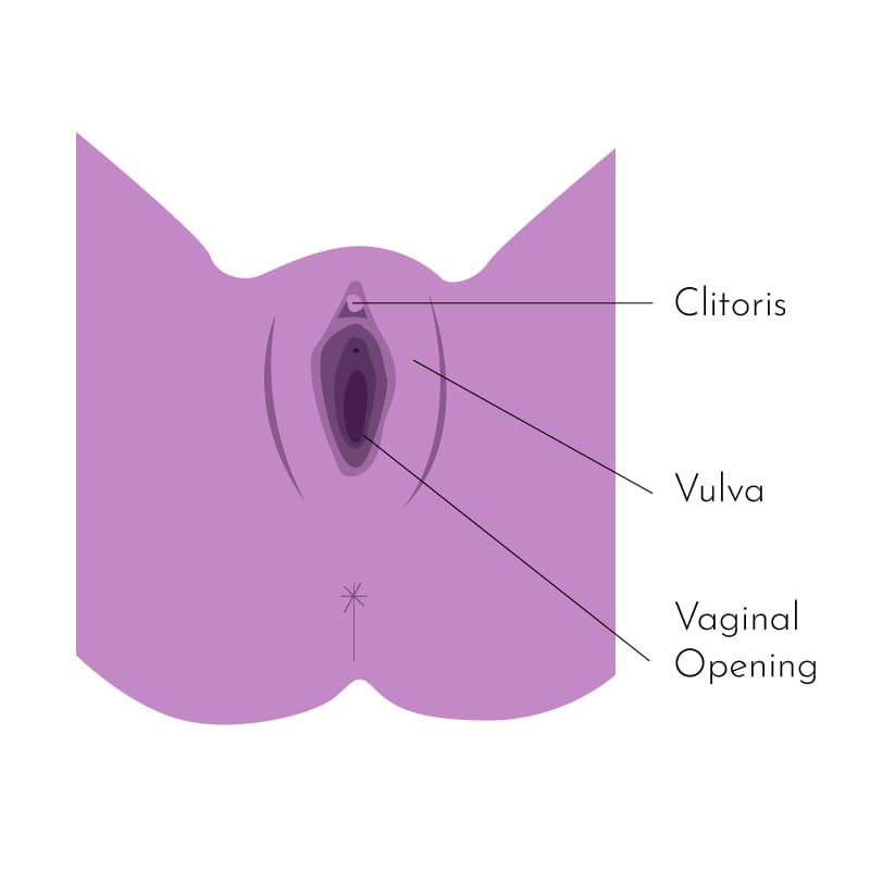 Vaginal numbing cream for Vulvodynia