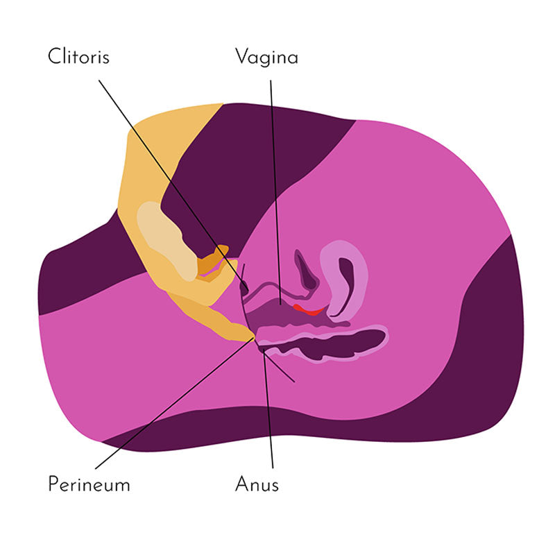 Illustration showing how to do a perineal massage