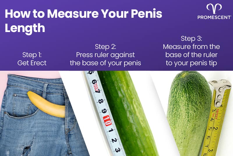 Tips for how to correctly measure the length of your penis
