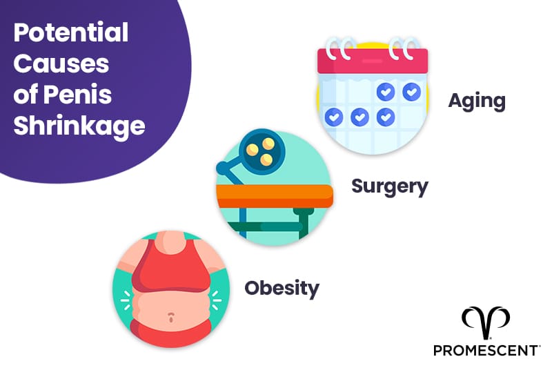 Common causes of penis shrinkage