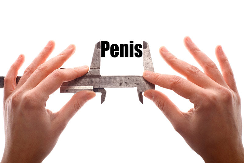 Penis shrinkage measuring