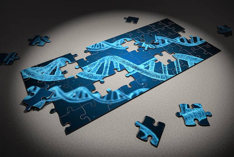 Puzzle of DNA for penis size genetics