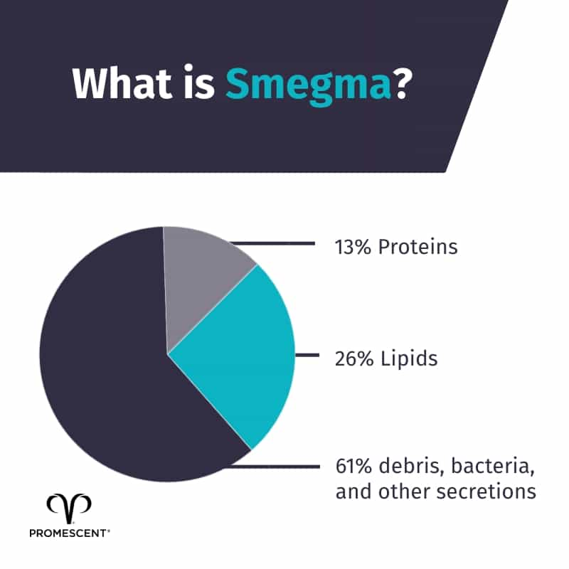 Chart showing the percentages of what smegma is comprised of