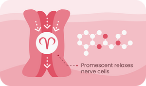 Promescent relaxes nerve cells to help control premature ejaculation