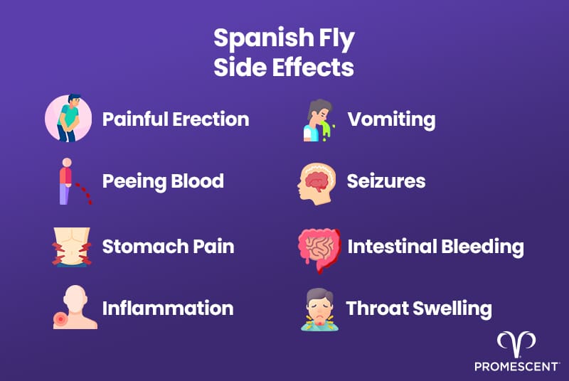 Side effects of Spanish fly