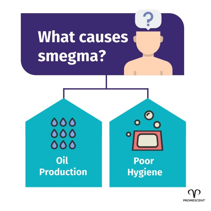 What causes smegma