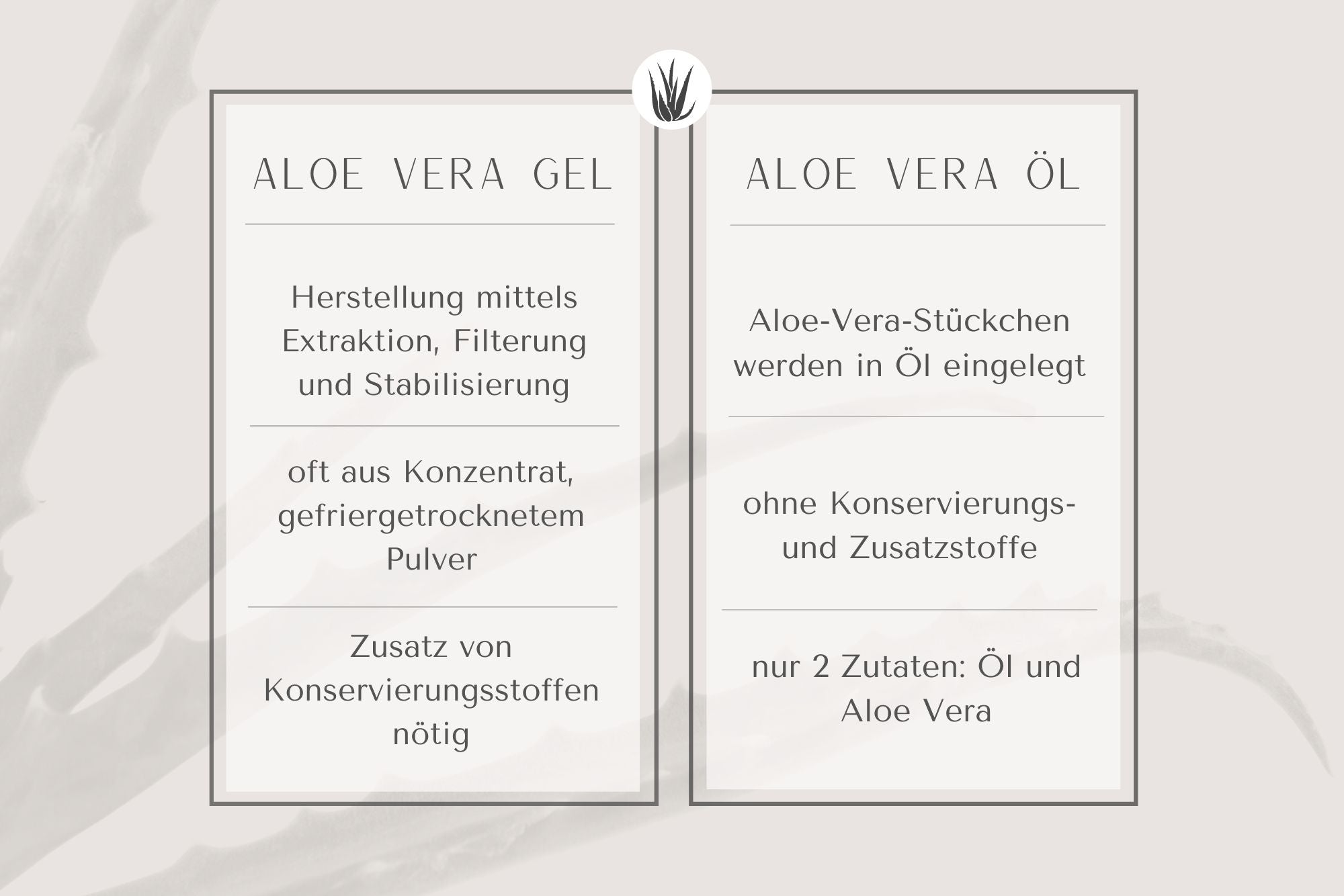 Aloe Vera Öl oder Gel Vergleich