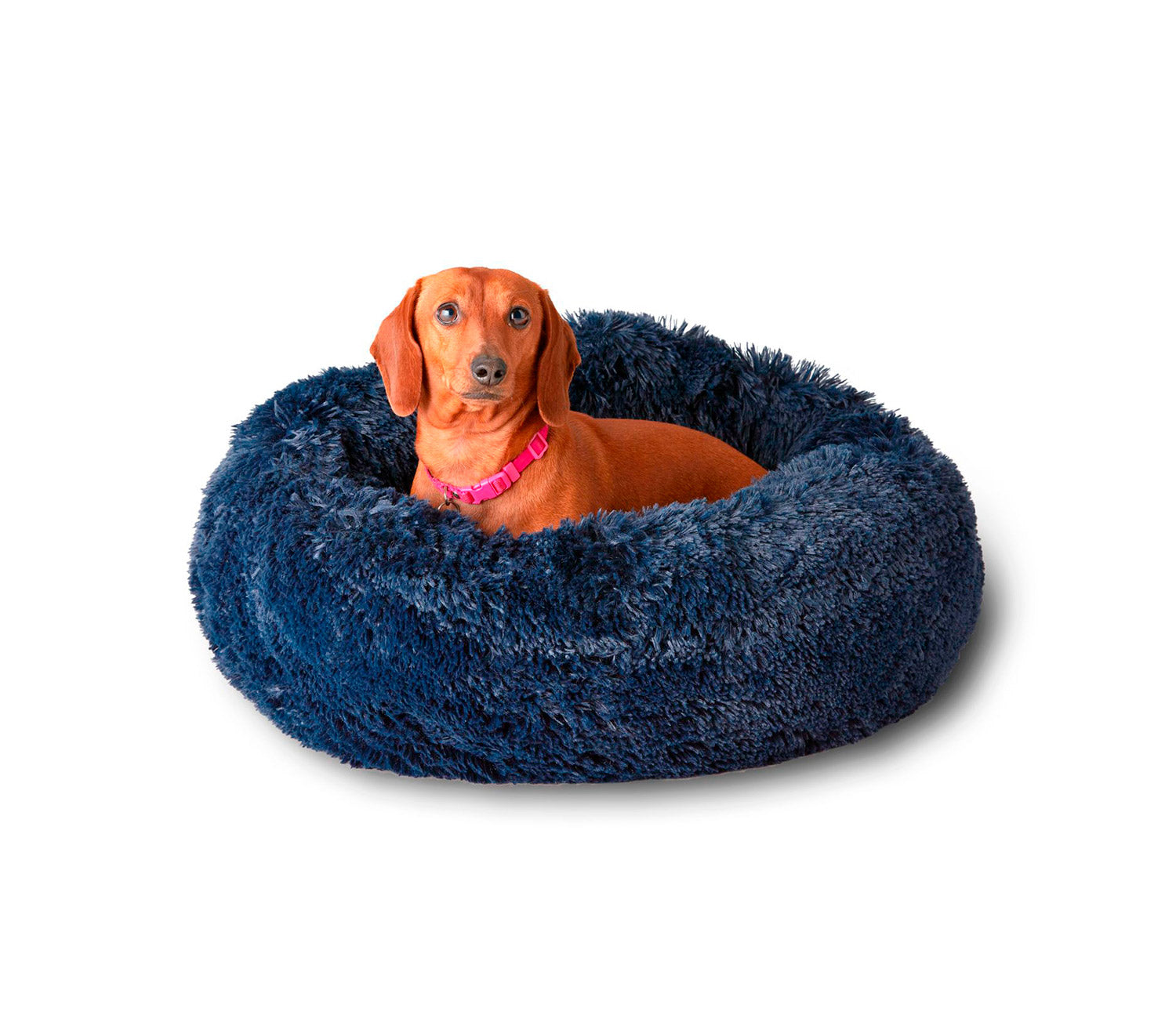 Pet Calming Bed Pupnaps Canada S Favourite Dog Bed