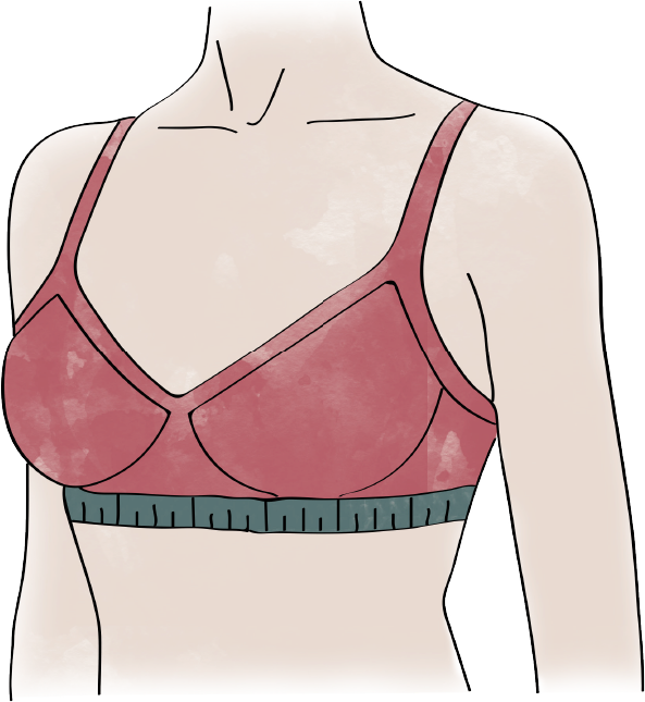 Bra Size Calculator: Important factors to measure a Bra Size, difference  between cup, band, and Sister size, by Allcalculator