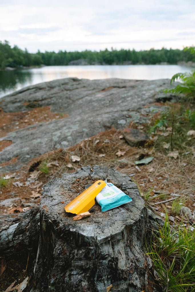 Photo of trowel and wipes on a log with rock and a lake in the background