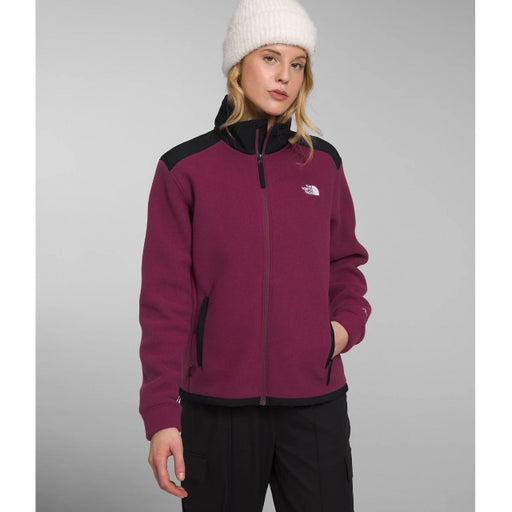 THE NORTH FACE Alpine Polartec 100 Womens Jacket - BLACK