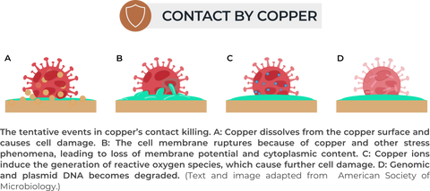 How Copper Kills Coronavirus