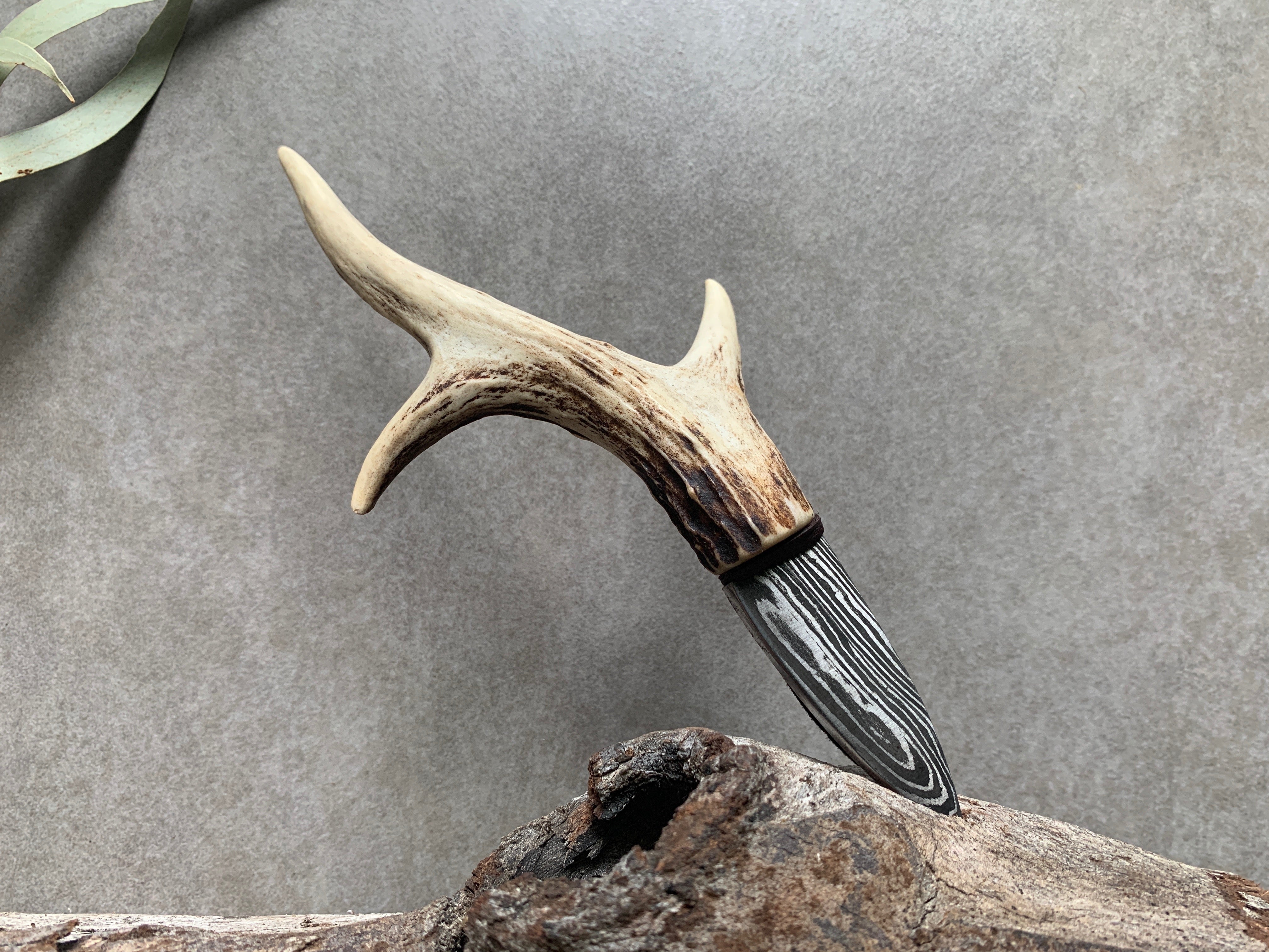 Bmerry Studio Antler Carvings