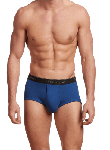 Stanfield's Underwear Boxers for Men