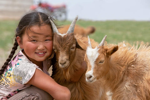 Half Inched Partnership with Cashmere Circle | Mongolia Cashmere Goats