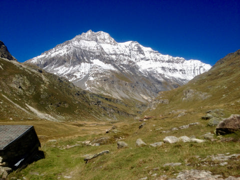 Above the Termignon Valley where Bleu de Termignon is made