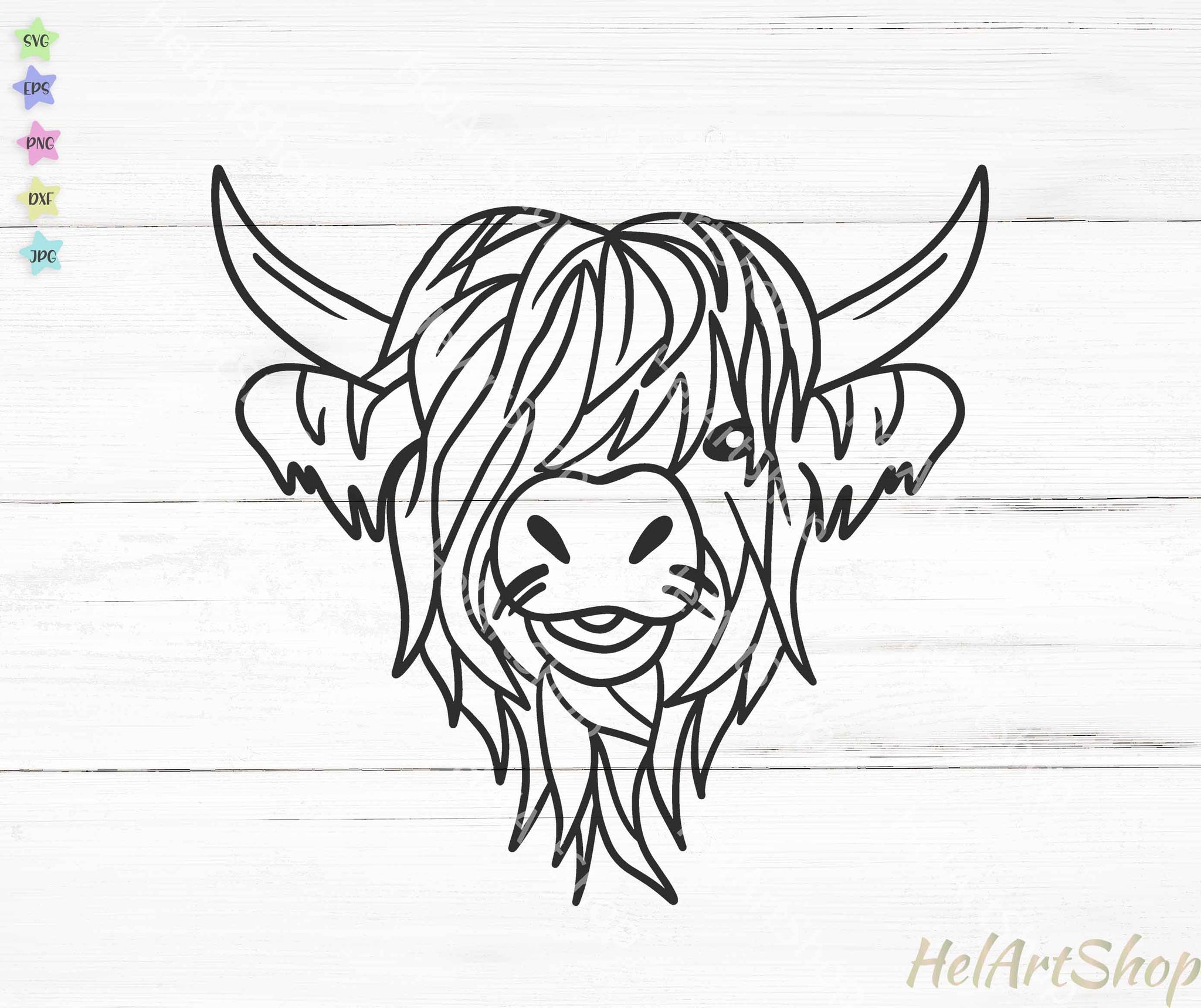 Highland Cow Coloring Pages Colouring Cattle Template Prints