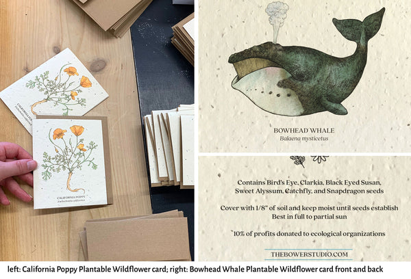 image of The Bower Studio Poppy and Whale plantable notecards